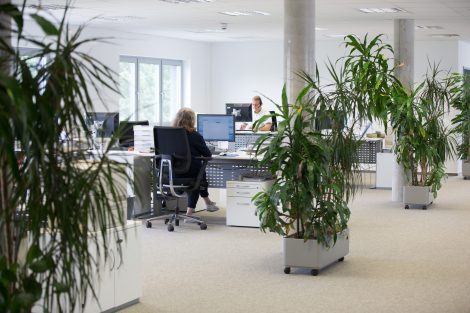 RUSSKA Büro Innendienst