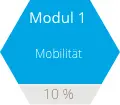 Modul 1 Mobilität | RUSSKA