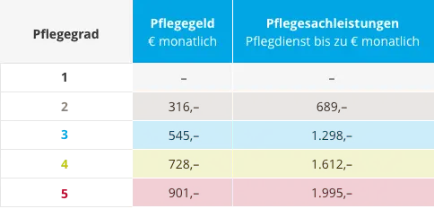 Tabelle Pflegeleistungen in der häuslichen Pflege | RUSSKA